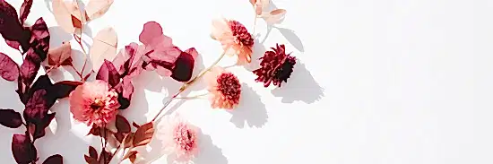 image of dried blooms in purples, pinks and blushes arranged on the left hand side of a white background