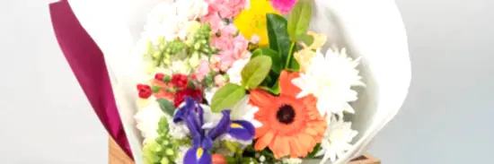 brightly coloured flower arrangement hand made by local florist with a red ribbon and white paper wrapped around it