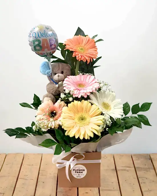 New Baby Arrangement