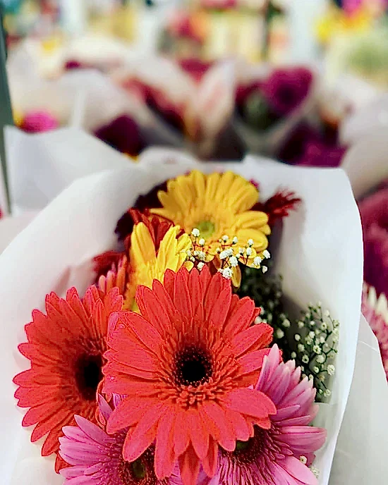 GERBERA BUNCH