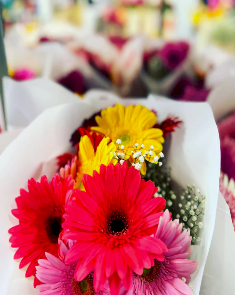 GERBERA BUNCH